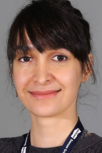 Bina Ansari, microgrids