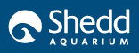 Shedd Acquarium, microgrids